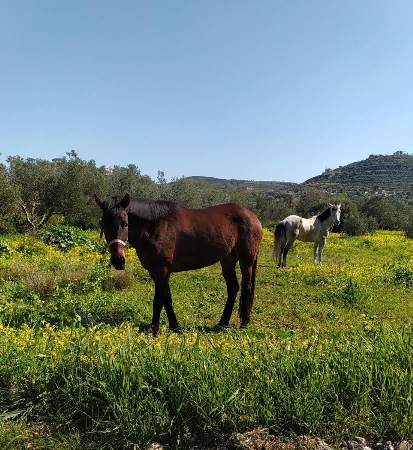 Myparadise-Farm Villa In The Centre Of South Crete Kalamaki  Exterior foto