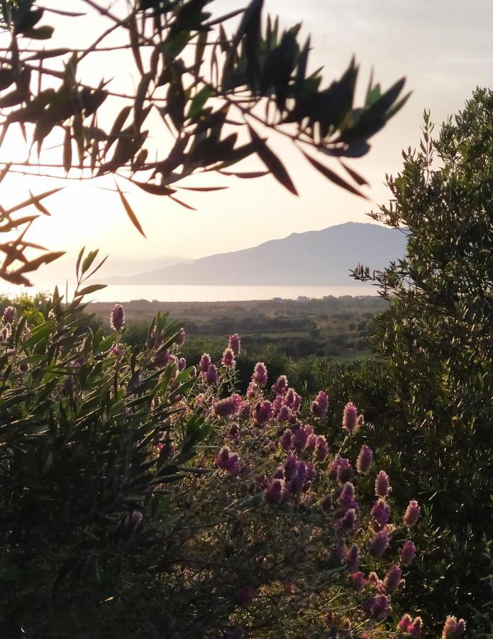 Myparadise-Farm Villa In The Centre Of South Crete Kalamaki  Exterior foto