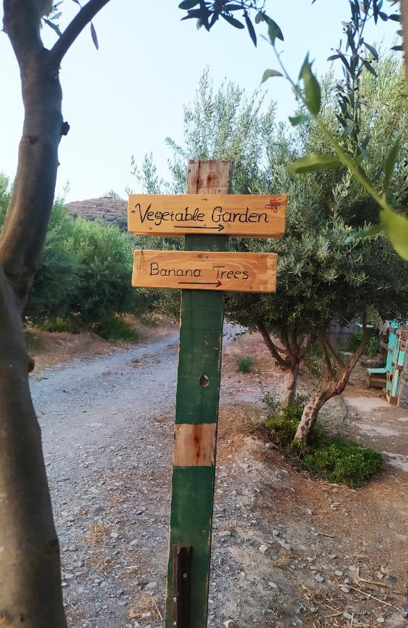 Myparadise-Farm Villa In The Centre Of South Crete Kalamaki  Exterior foto